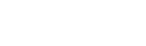 Nomad Dood Van